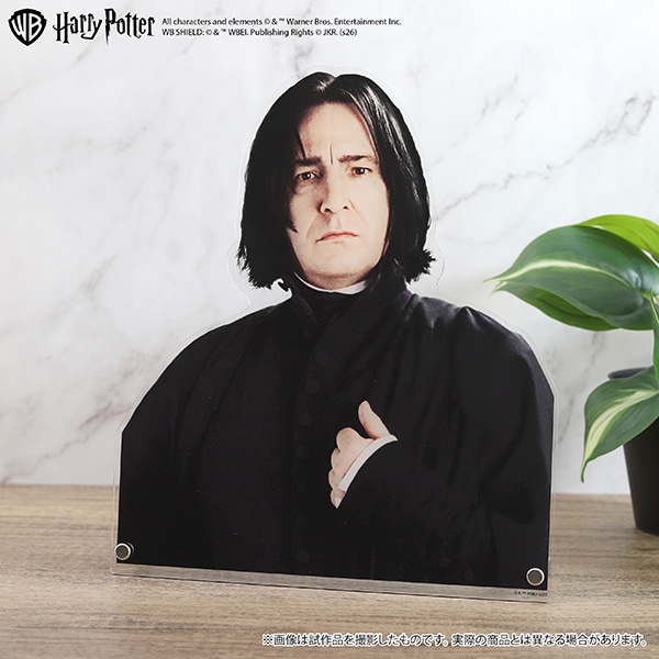 [Pre-order] [Made to Order] Harry Potter Extra Large Die-Cut Acrylic Panel (Severus Snape) 